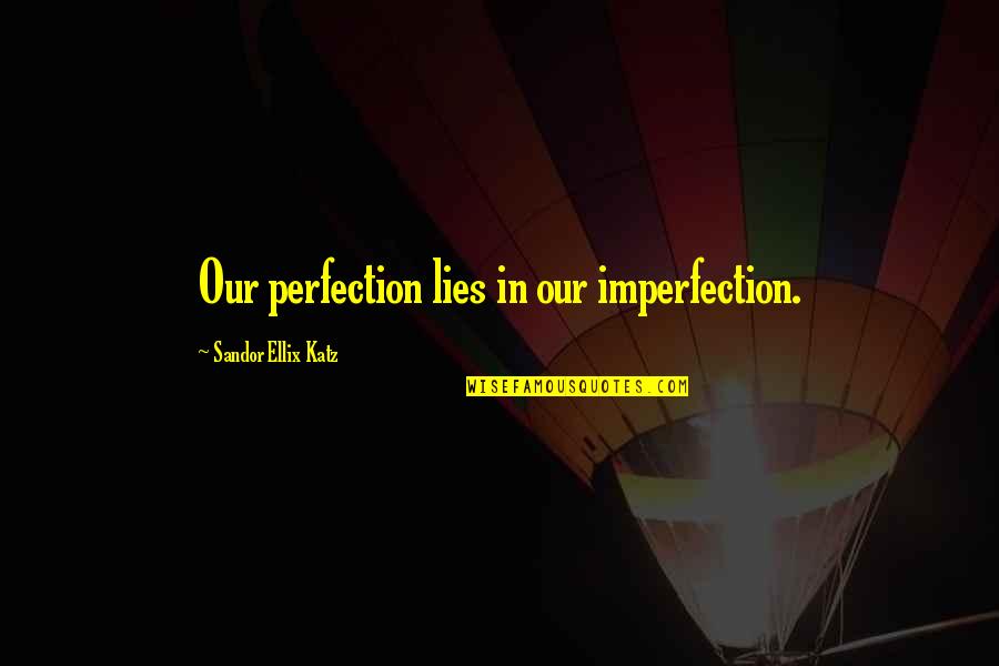 Rains Beauty Quotes By Sandor Ellix Katz: Our perfection lies in our imperfection.