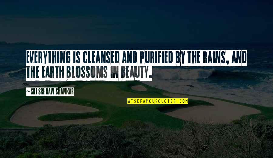 Rains Beauty Quotes By Sri Sri Ravi Shankar: Everything is cleansed and purified by the rains,