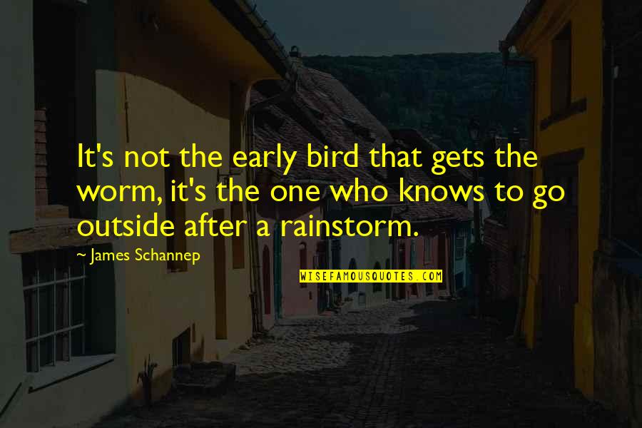 Rainstorm Quotes By James Schannep: It's not the early bird that gets the