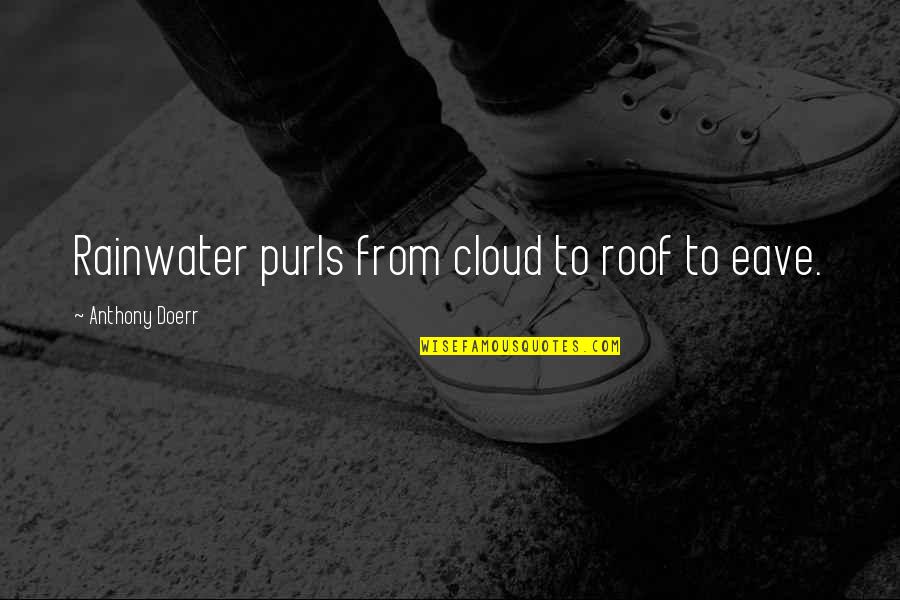 Rainwater Quotes By Anthony Doerr: Rainwater purls from cloud to roof to eave.