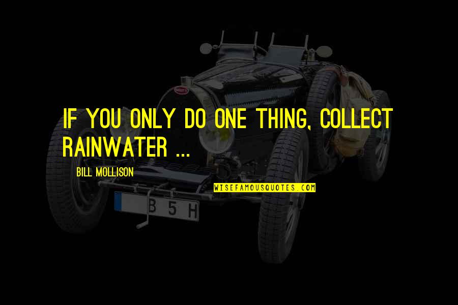 Rainwater Quotes By Bill Mollison: If you only do one thing, collect rainwater