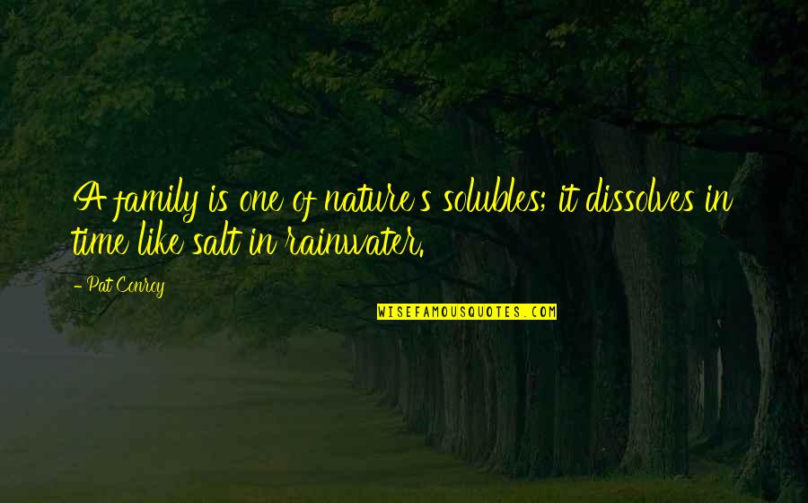 Rainwater Quotes By Pat Conroy: A family is one of nature's solubles; it