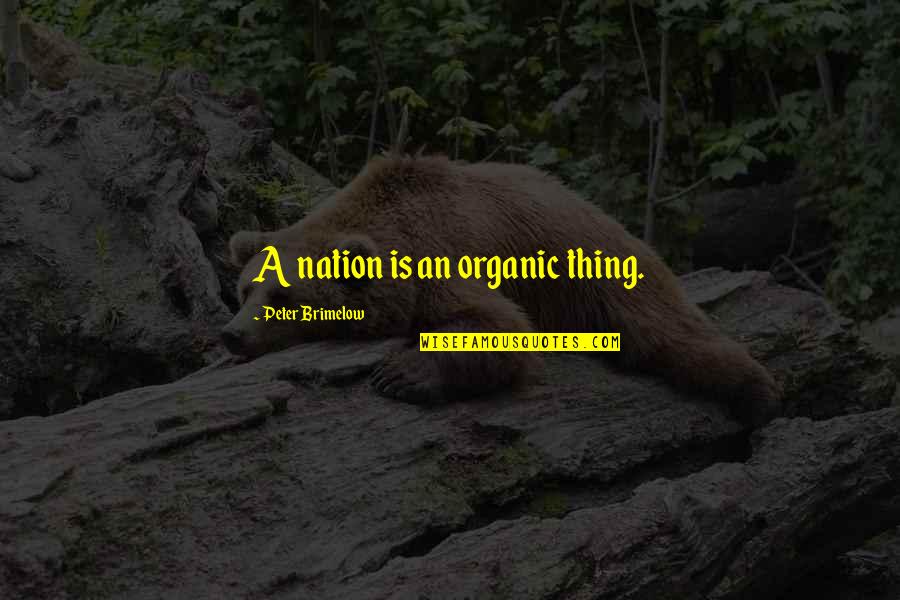 Rainy Day Tanning Quotes By Peter Brimelow: A nation is an organic thing.