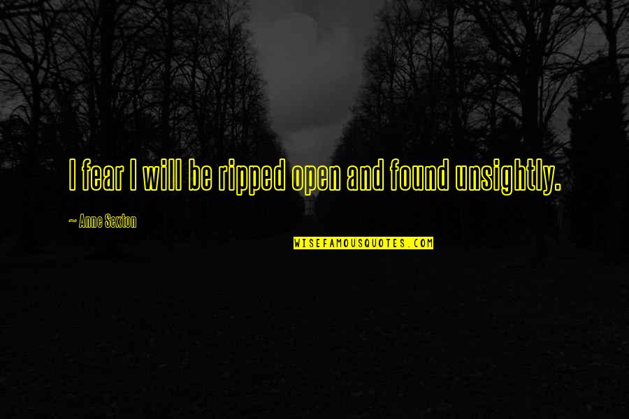 Rainy Gloomy Day Quotes By Anne Sexton: I fear I will be ripped open and