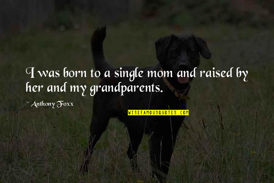 Raised By Grandparents Quotes By Anthony Foxx: I was born to a single mom and