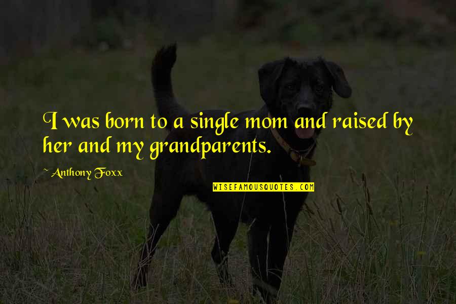 Raised By Mom Quotes By Anthony Foxx: I was born to a single mom and