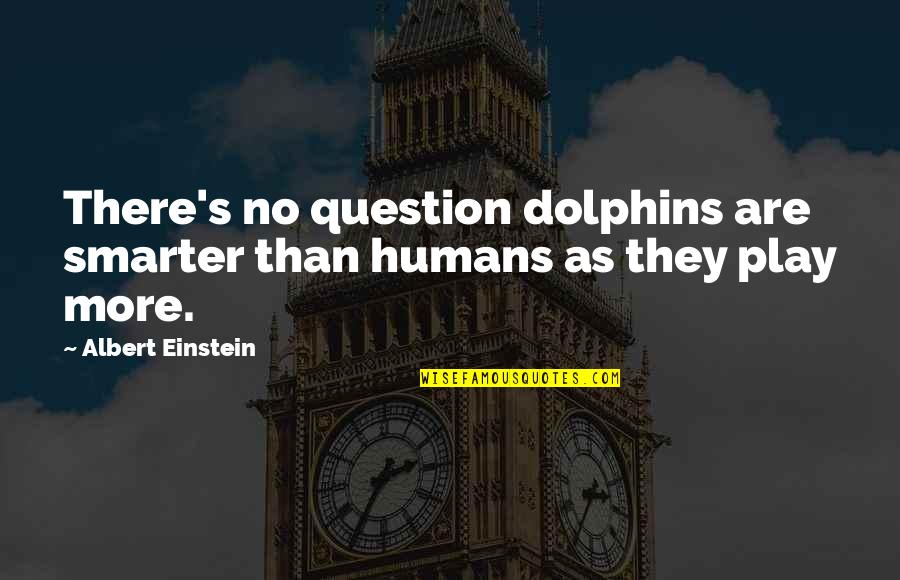 Raisers Edge Login Quotes By Albert Einstein: There's no question dolphins are smarter than humans