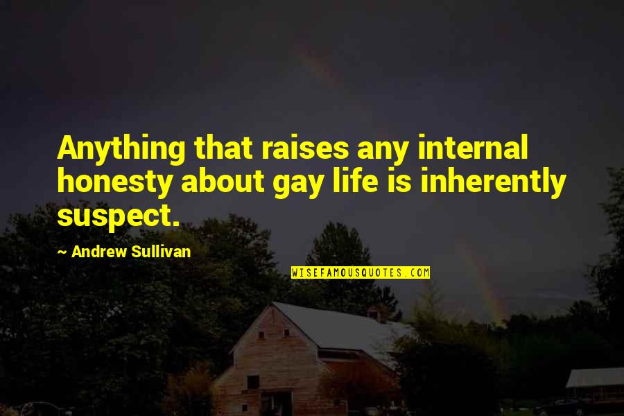 Raises Quotes By Andrew Sullivan: Anything that raises any internal honesty about gay