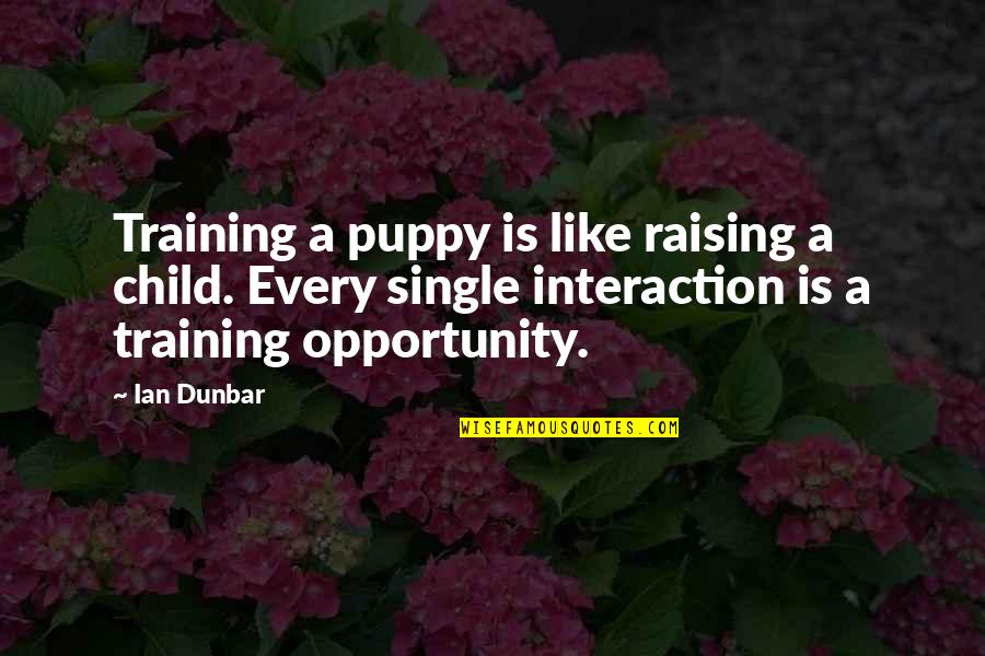 Raising An Only Child Quotes By Ian Dunbar: Training a puppy is like raising a child.