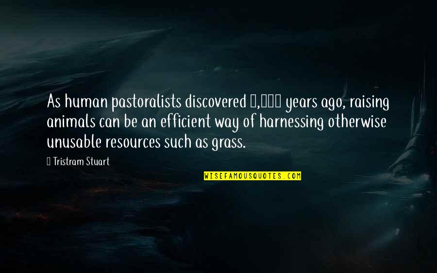 Raising Animals Quotes By Tristram Stuart: As human pastoralists discovered 8,000 years ago, raising