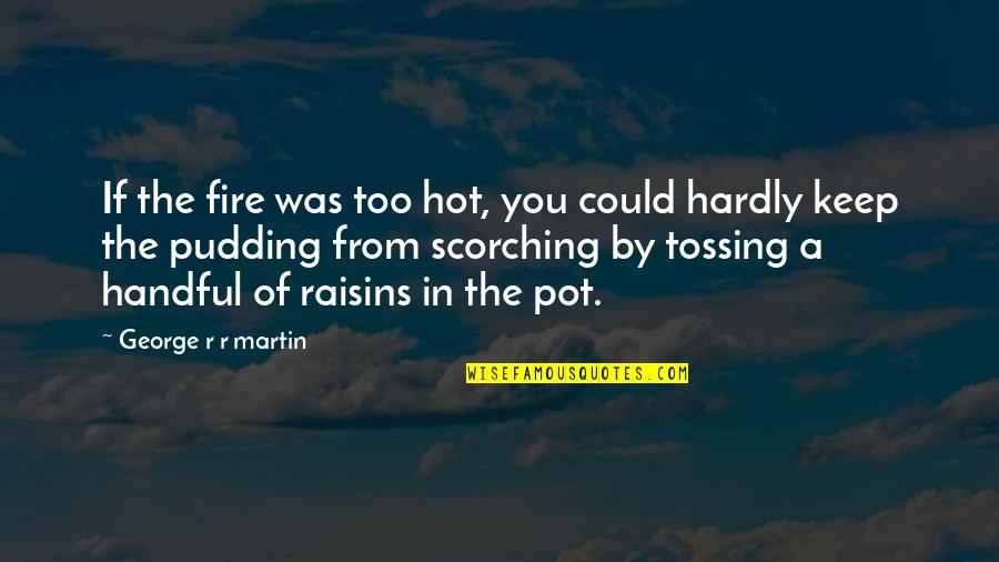 Raisins Quotes By George R R Martin: If the fire was too hot, you could