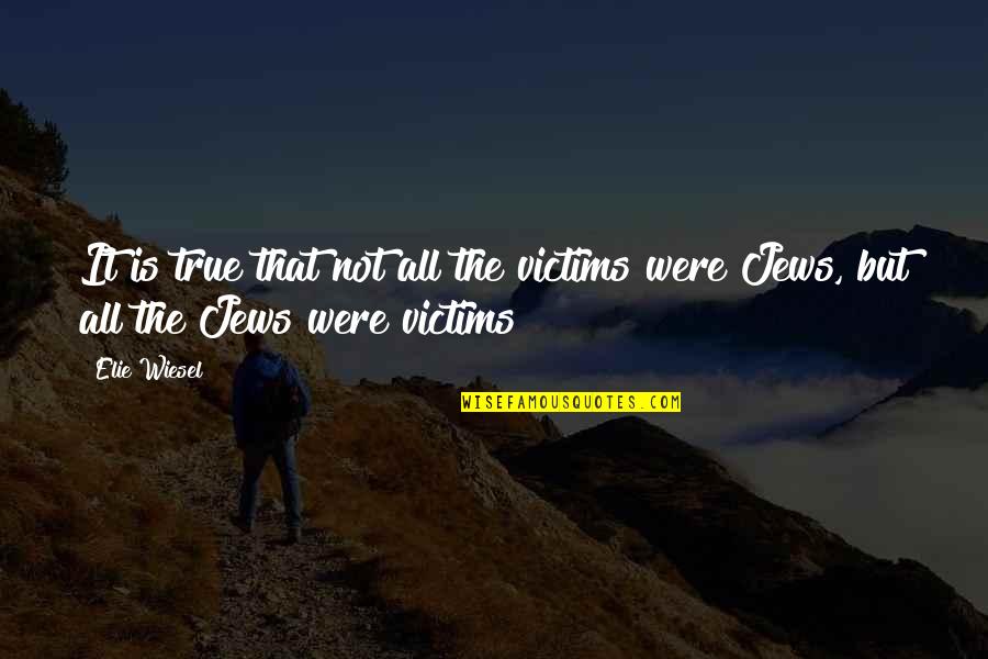 Rajasthani Quotes By Elie Wiesel: It is true that not all the victims