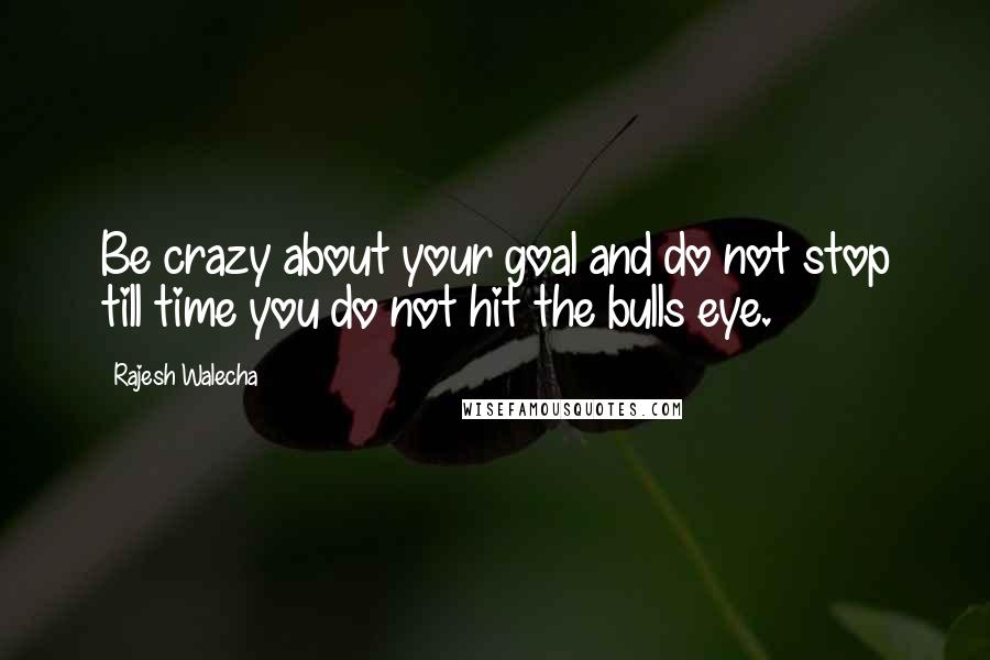 Rajesh Walecha quotes: Be crazy about your goal and do not stop till time you do not hit the bulls eye.