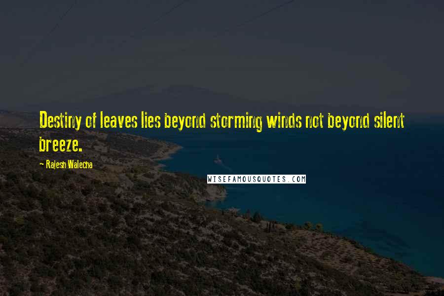 Rajesh Walecha quotes: Destiny of leaves lies beyond storming winds not beyond silent breeze.