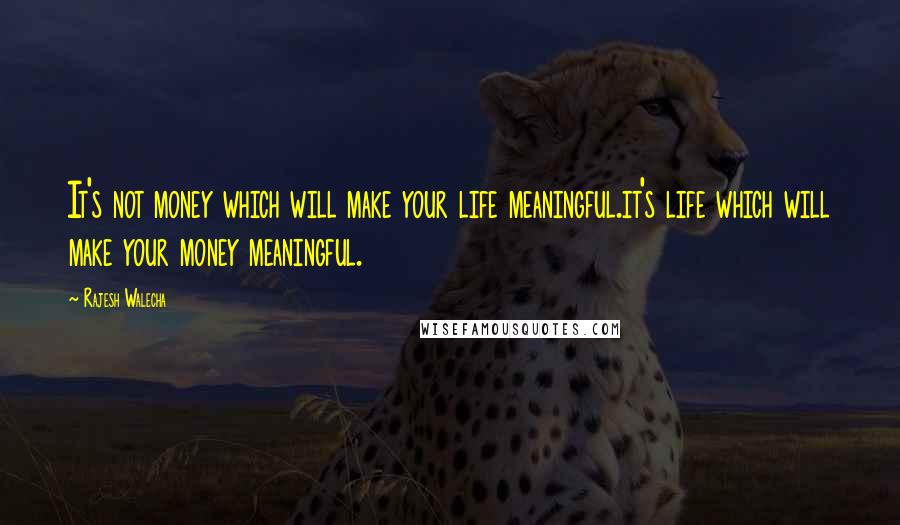 Rajesh Walecha quotes: It's not money which will make your life meaningful.it's life which will make your money meaningful.