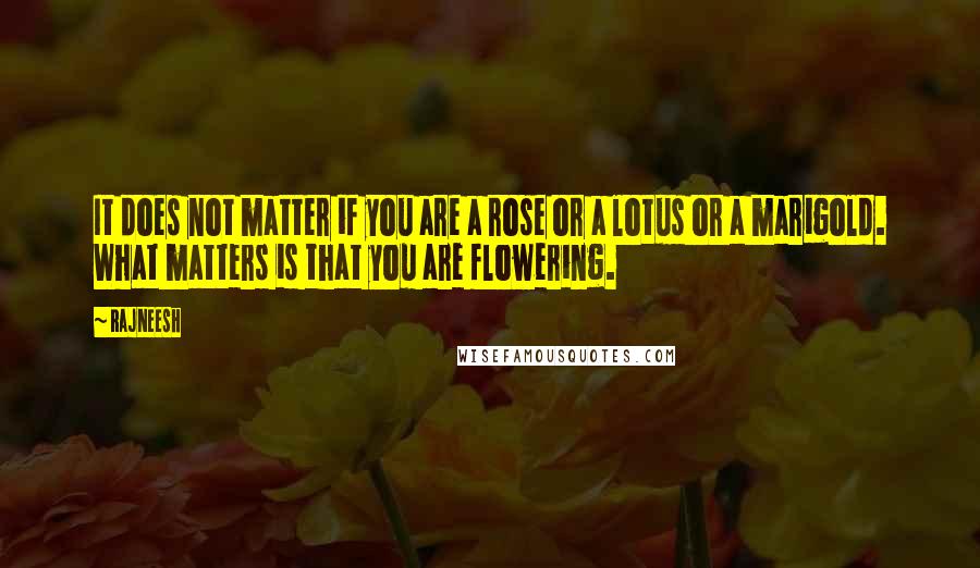 Rajneesh quotes: It does not matter if you are a rose or a lotus or a marigold. What matters is that you are flowering.