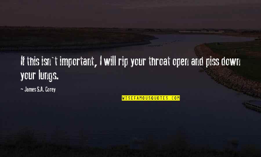 Rajput Inspirational Quotes By James S.A. Corey: If this isn't important, I will rip your