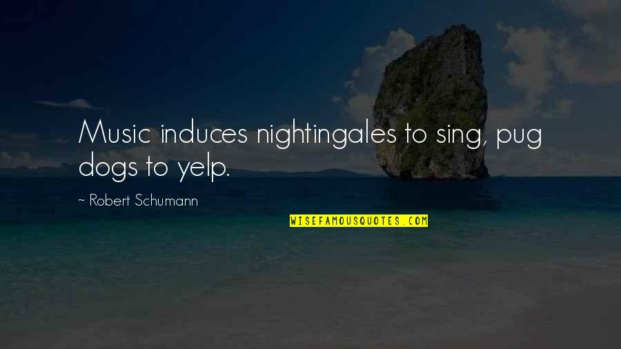 Rajputs In Hindi Quotes By Robert Schumann: Music induces nightingales to sing, pug dogs to Rajputs In Hindi Quotes By Robert Schumann: Music induces nightingales to sing, pug dogs to