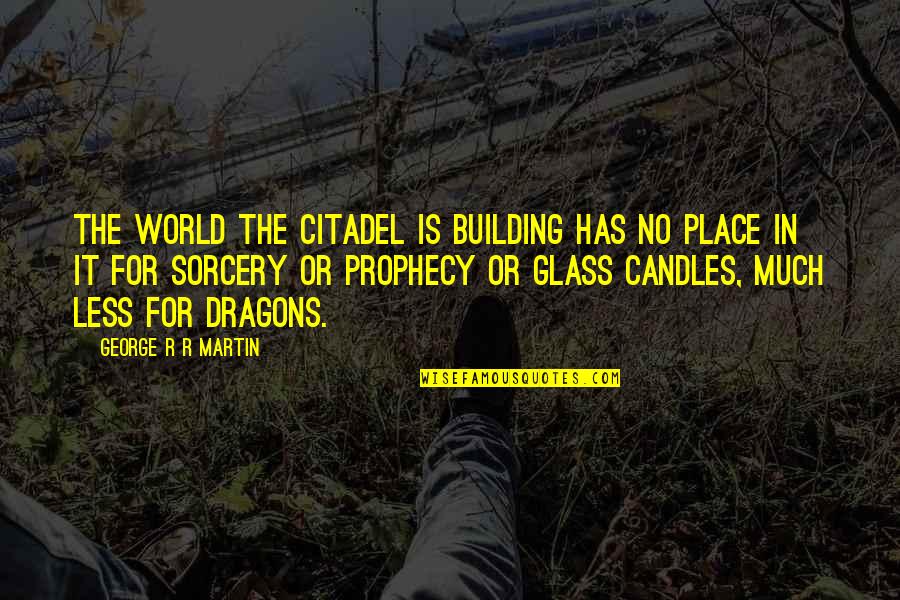 Rajshri Soul Quotes By George R R Martin: The world the Citadel is building has no