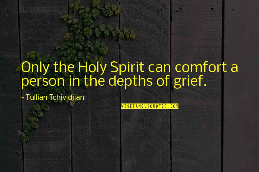 Rajvir Jhooty Quotes By Tullian Tchividjian: Only the Holy Spirit can comfort a person Rajvir Jhooty Quotes By Tullian Tchividjian: Only the Holy Spirit can comfort a person