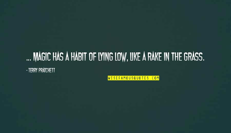 Rake Quotes By Terry Pratchett: ... magic has a habit of lying low,