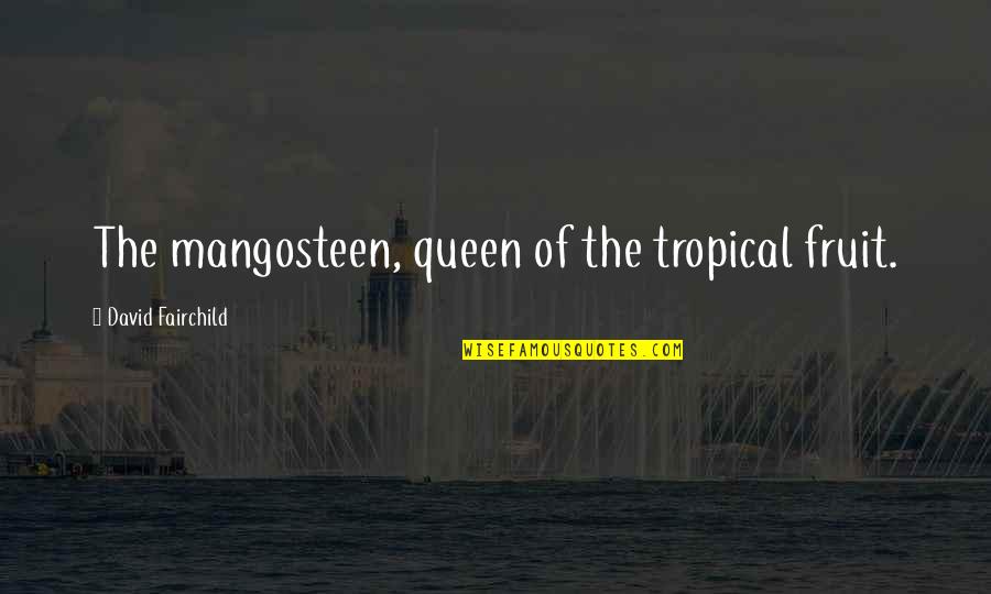 Rakshana Quotes By David Fairchild: The mangosteen, queen of the tropical fruit.