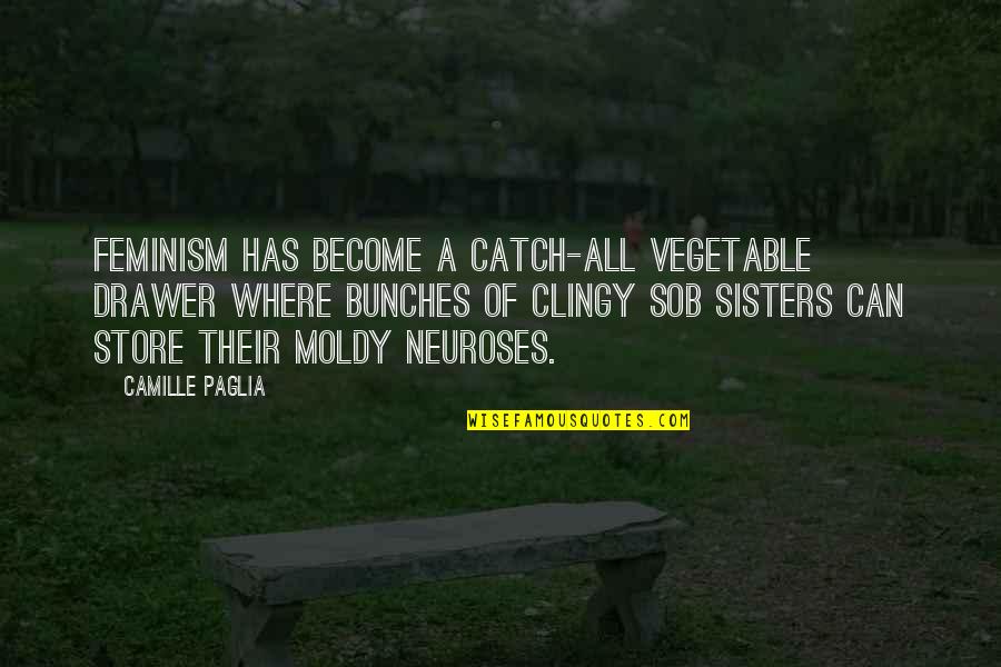 Rakuyomi Quotes By Camille Paglia: Feminism has become a catch-all vegetable drawer where