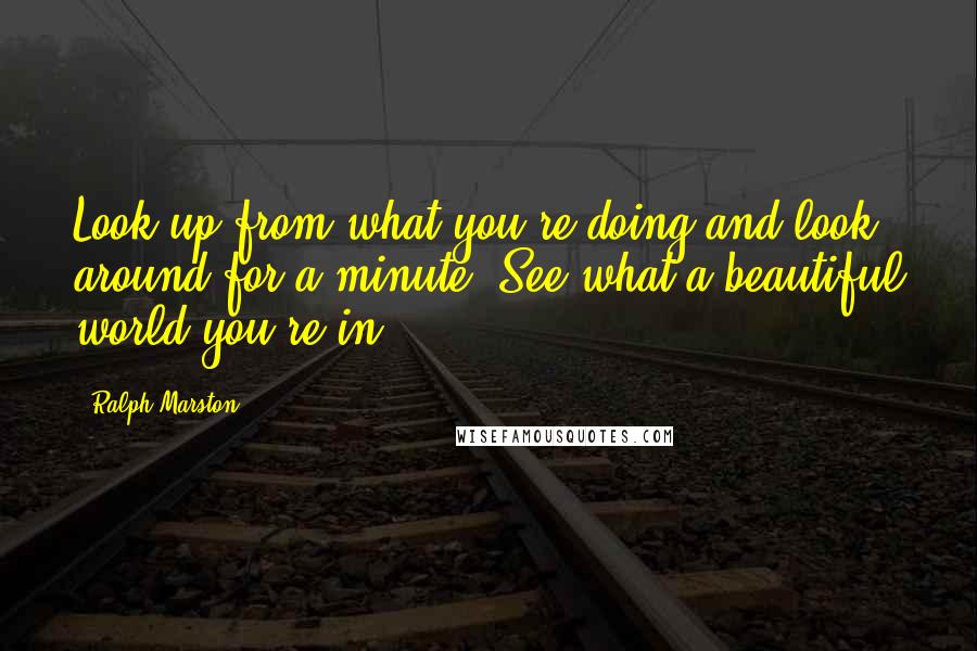 Ralph Marston quotes: Look up from what you're doing and look around for a minute. See what a beautiful world you're in.