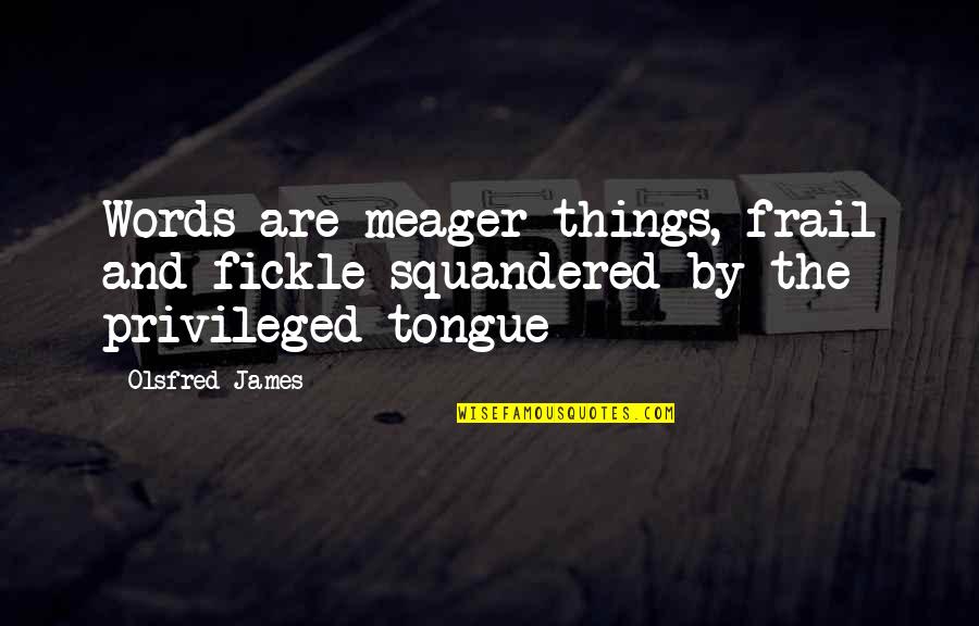 Ralph Mcgill Quotes By Olsfred James: Words are meager things, frail and fickle squandered