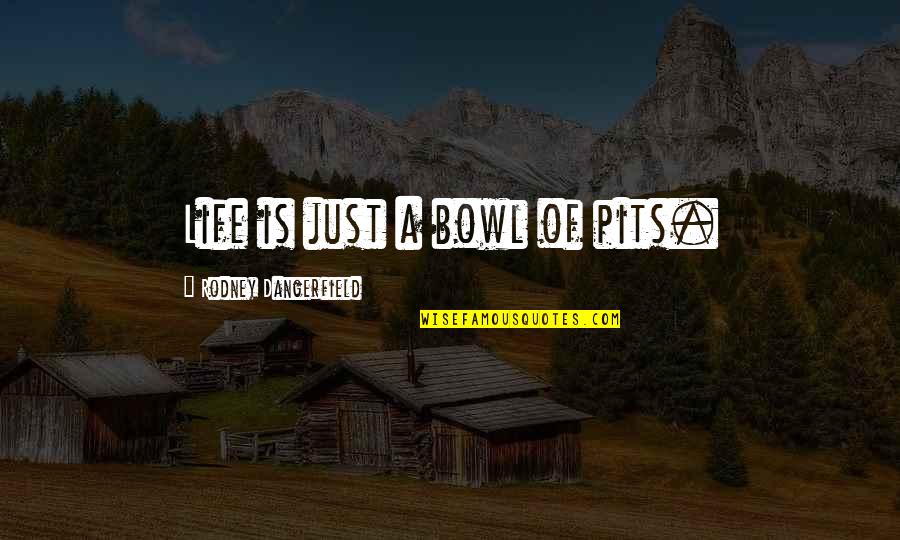Ralph Waldo Emerson Confidence Quotes By Rodney Dangerfield: Life is just a bowl of pits. Ralph Waldo Emerson Confidence Quotes By Rodney Dangerfield: Life is just a bowl of pits.