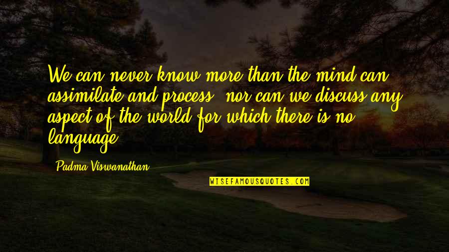 Ram Dass Polishing The Mirror Quotes By Padma Viswanathan: We can never know more than the mind