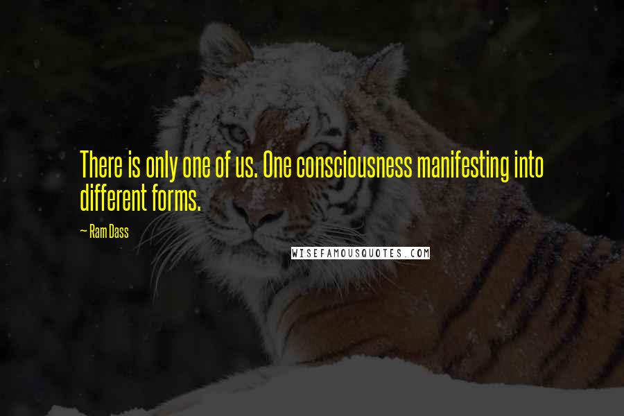 Ram Dass quotes: There is only one of us. One consciousness manifesting into different forms.