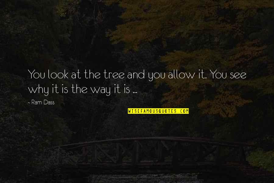 Ram Dass Quotes By Ram Dass: You look at the tree and you allow