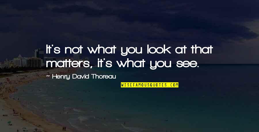 Ramadan Finish Quotes By Henry David Thoreau: It's not what you look at that matters, Ramadan Finish Quotes By Henry David Thoreau: It's not what you look at that matters,