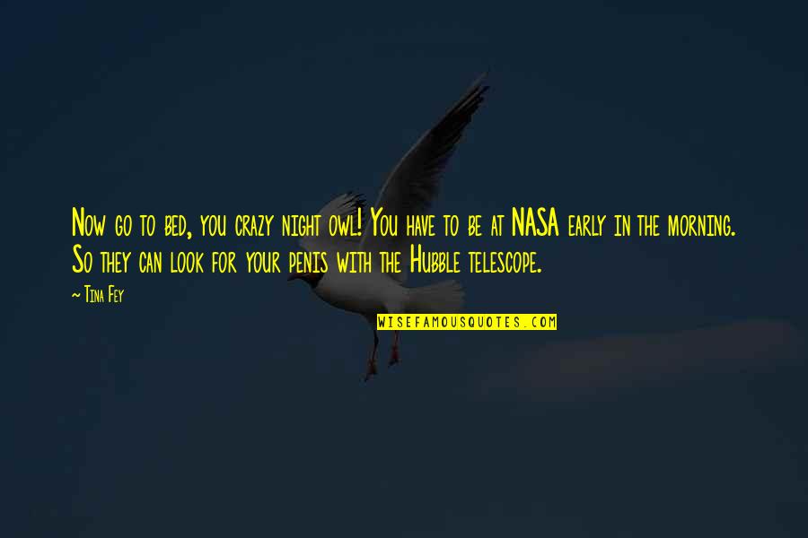 Ramadan Is Coming Quotes By Tina Fey: Now go to bed, you crazy night owl!