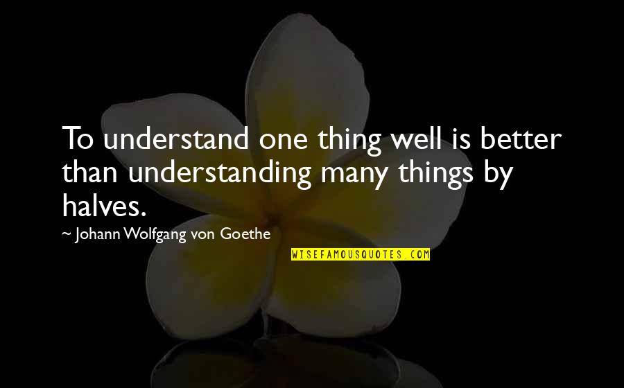 Ramadan Starting Quotes By Johann Wolfgang Von Goethe: To understand one thing well is better than