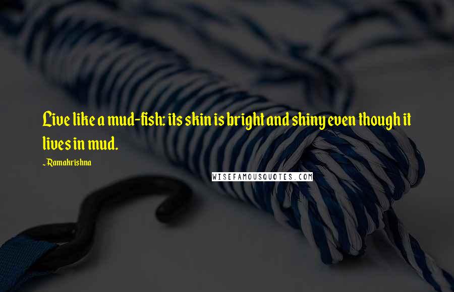 Ramakrishna quotes: Live like a mud-fish: its skin is bright and shiny even though it lives in mud.