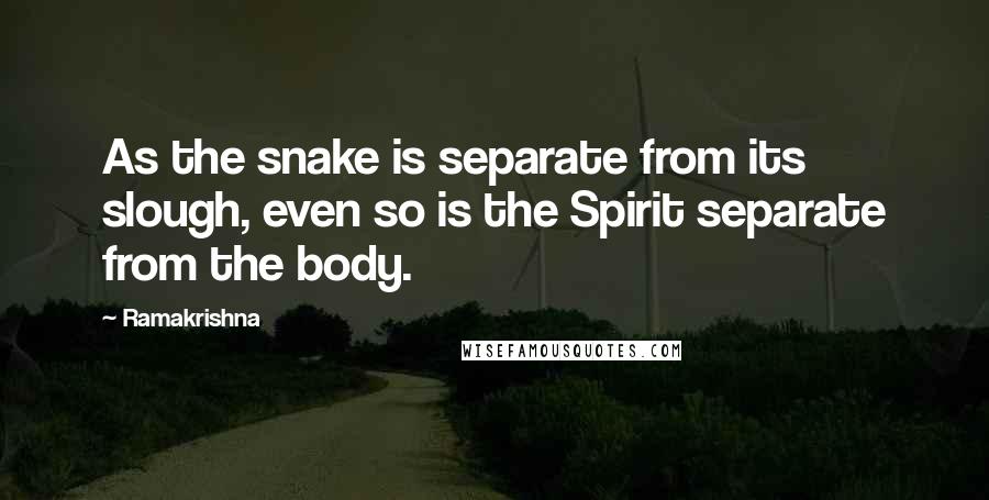 Ramakrishna quotes: As the snake is separate from its slough, even so is the Spirit separate from the body.