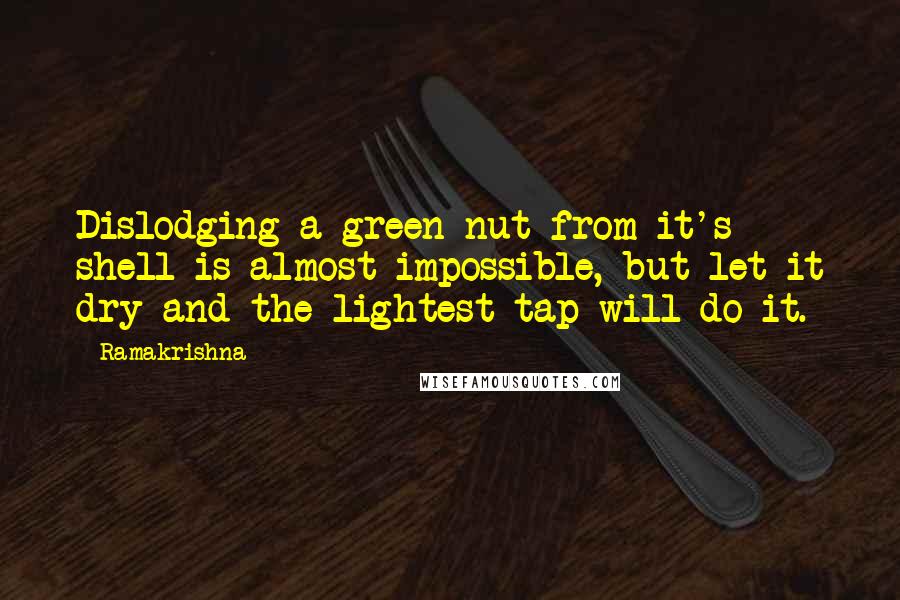Ramakrishna quotes: Dislodging a green nut from it's shell is almost impossible, but let it dry and the lightest tap will do it.