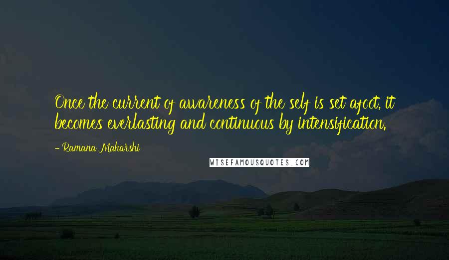 Ramana Maharshi quotes: Once the current of awareness of the self is set afoot, it becomes everlasting and continuous by intensification.