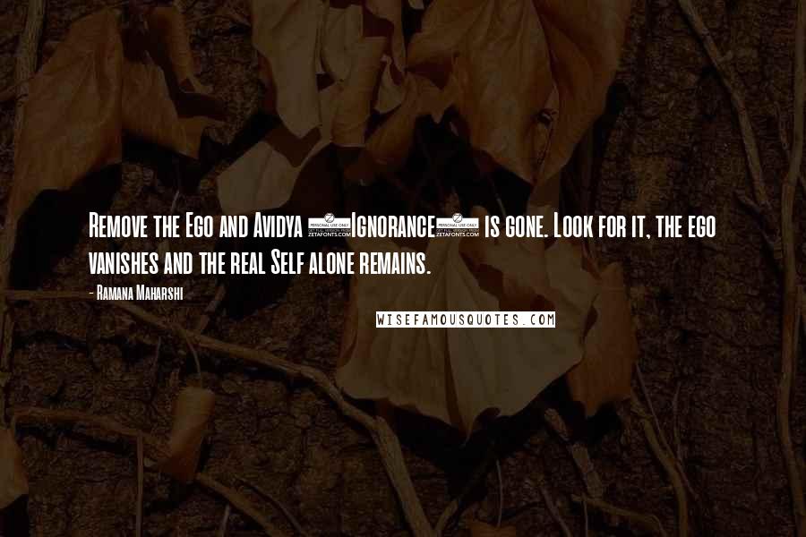 Ramana Maharshi quotes: Remove the Ego and Avidya (Ignorance) is gone. Look for it, the ego vanishes and the real Self alone remains. Ramana Maharshi quotes: Remove the Ego and Avidya (Ignorance) is gone. Look for it, the ego vanishes and the real Self alone remains.