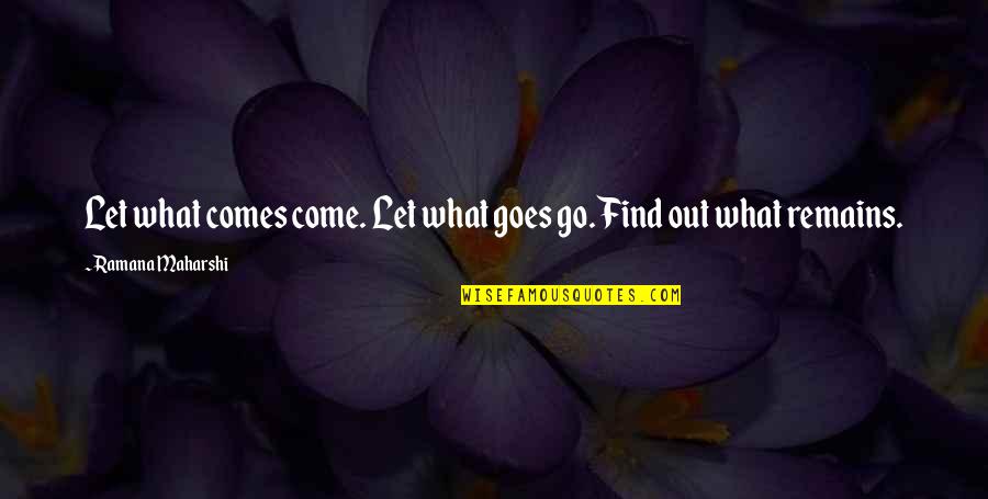 Ramana Quotes By Ramana Maharshi: Let what comes come. Let what goes go.