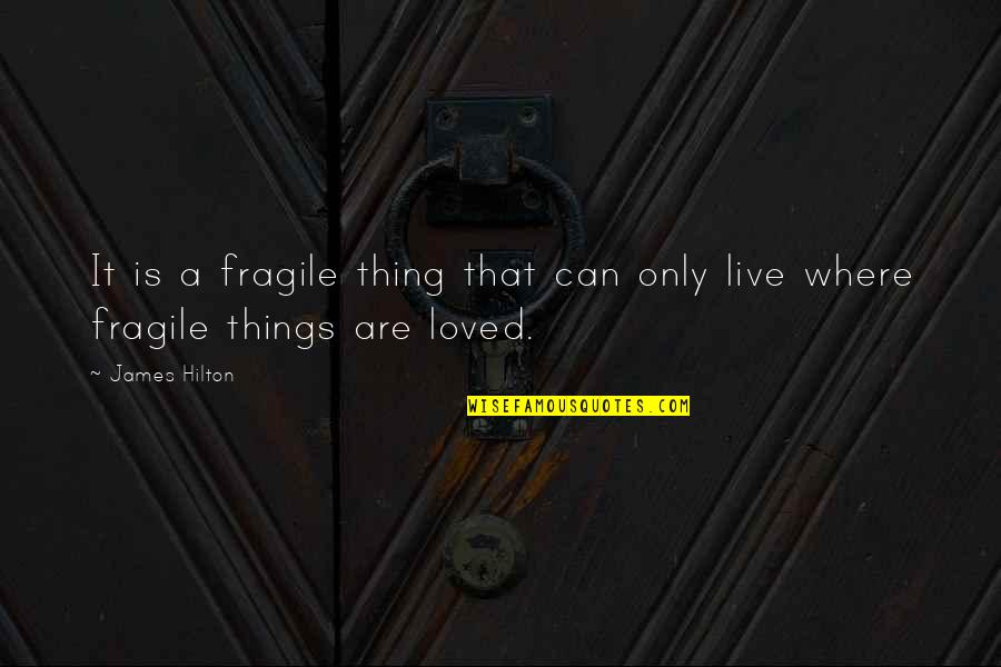 Ramautar Notaris Quotes By James Hilton: It is a fragile thing that can only