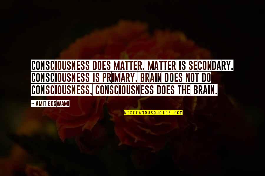 Rameez And Naeem Quotes By Amit Goswami: Consciousness does matter. Matter is secondary. Consciousness is Rameez And Naeem Quotes By Amit Goswami: Consciousness does matter. Matter is secondary. Consciousness is