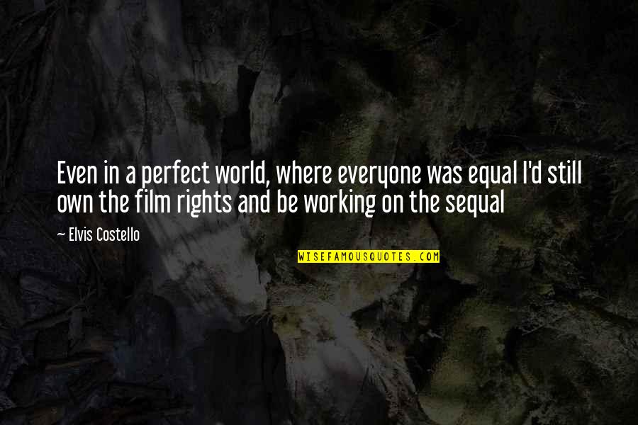 Ramgoolam Et Nandanee Quotes By Elvis Costello: Even in a perfect world, where everyone was