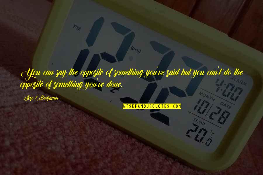 Ramin Nazer Quotes By Jose Bergamin: You can say the opposite of something you've