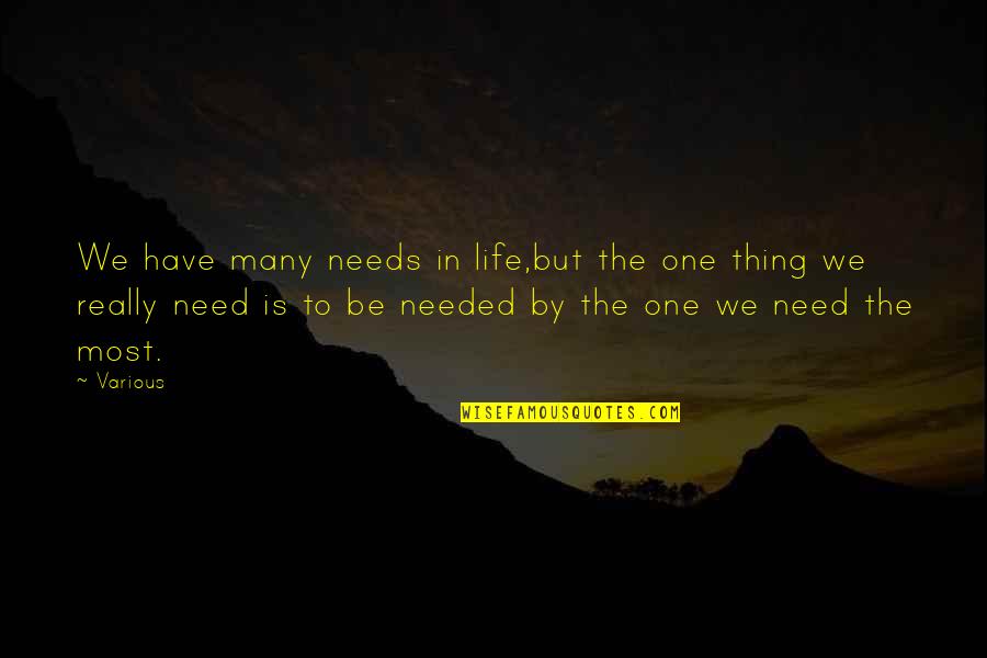 Ramined Quotes By Various: We have many needs in life,but the one