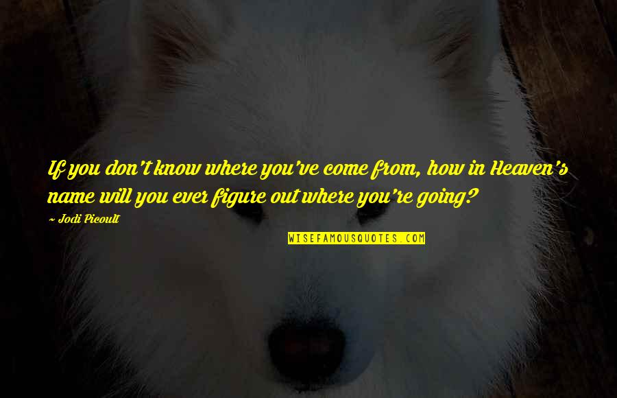 Raming Lodge Quotes By Jodi Picoult: If you don't know where you've come from, Raming Lodge Quotes By Jodi Picoult: If you don't know where you've come from,