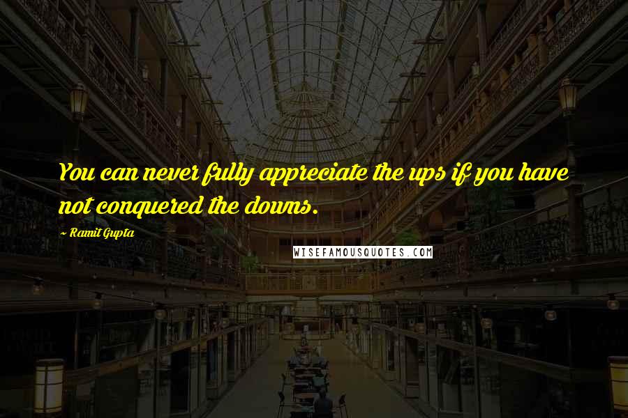 Ramit Gupta quotes: You can never fully appreciate the ups if you have not conquered the downs.