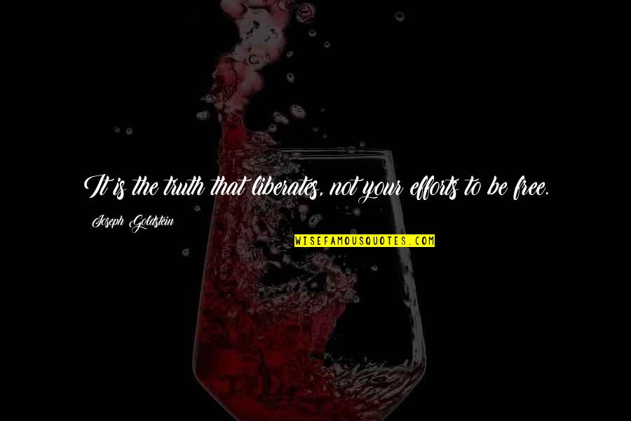 Ramji Ki Quotes By Joseph Goldstein: It is the truth that liberates, not your Ramji Ki Quotes By Joseph Goldstein: It is the truth that liberates, not your